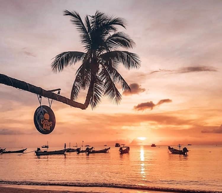 Koh Tao Lotus Bar