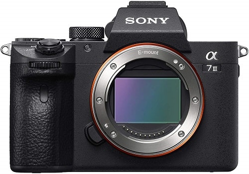 Le migliori fotocamere mirrorless - Sony Alpha 7 III
